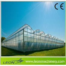 LEON Series High Quality Greenhouse with the Best Price